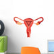 Female reproductive system anatomy vector Wall Decal