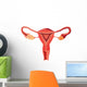 Female reproductive system anatomy vector Wall Decal