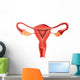 Female reproductive system anatomy vector Wall Decal