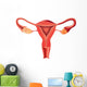 Female reproductive system anatomy vector Wall Decal