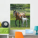 Mare and Foal Wall Decal