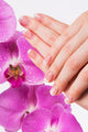 French manicure and orchid flower Wall Decal