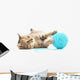 Cat with Ball Yarn Wall Decal