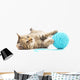 Cat with Ball Yarn Wall Decal