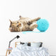 Cat with Ball Yarn Wall Decal