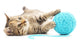 Cat with Ball Yarn