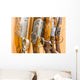 close up of a row of guns displayed in gun shop Wall Decal