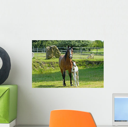 Mare And Foal Wall Decal