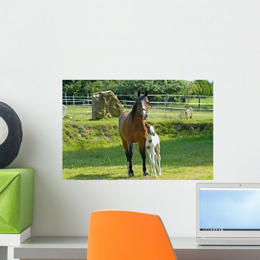 Mare and Foal Wall Decal