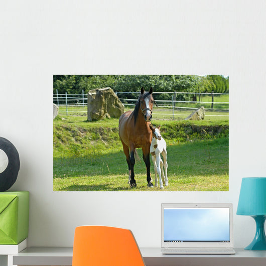Mare and Foal Wall Decal