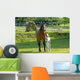 Mare and Foal Wall Decal