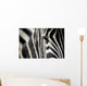 zebra eye Wall Decal