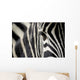 zebra eye Wall Decal