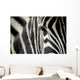 zebra eye Wall Decal