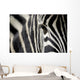zebra eye Wall Decal