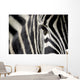 zebra eye Wall Decal