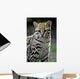 ocelot Wall Decal