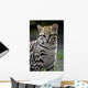 ocelot Wall Decal