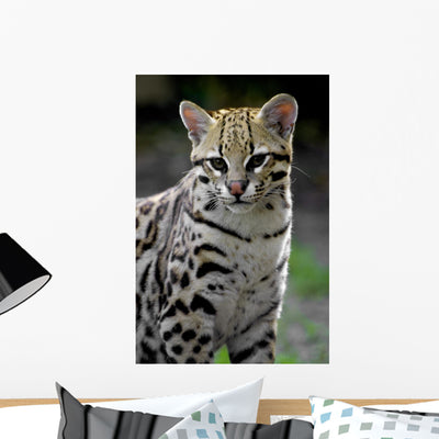Ocelot Wall Decal shown on a wall
