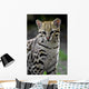 ocelot Wall Decal