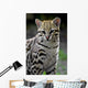 ocelot Wall Decal
