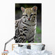 ocelot Wall Decal