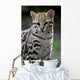 ocelot Wall Decal