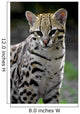 ocelot Wall Decal