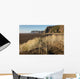 sand dunes at Karekare beach in New Zealand Wall Decal