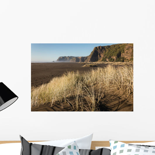 sand dunes at Karekare beach in New Zealand Wall Decal