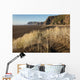 sand dunes at Karekare beach in New Zealand Wall Decal