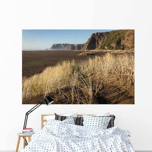 sand dunes at Karekare beach in New Zealand Wall Decal