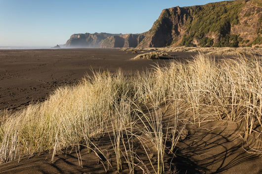 sand dunes at Karekare beach in New Zealand Wall Decal