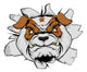 Bulldog Head Crashing through