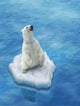 Ours Blanc / Fonte des glaces Wall Decal