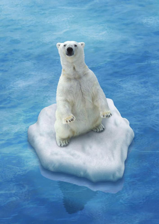 Iceberg Polar Bear Wall Decal