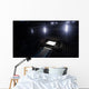 stadium Wall Decal