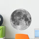 Full Moon Wall Decal