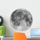 Full Moon Wall Decal