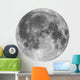 Full Moon Wall Decal