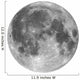 Full Moon Wall Decal