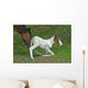 the mother help her foal Wall Decal