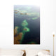 Fligth from Panama City to Bocas del Toro, Panama Wall Decal