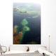 Fligth from Panama City to Bocas del Toro, Panama Wall Decal