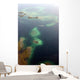 Fligth from Panama City to Bocas del Toro, Panama Wall Decal