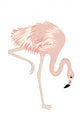 Pink Flamingo