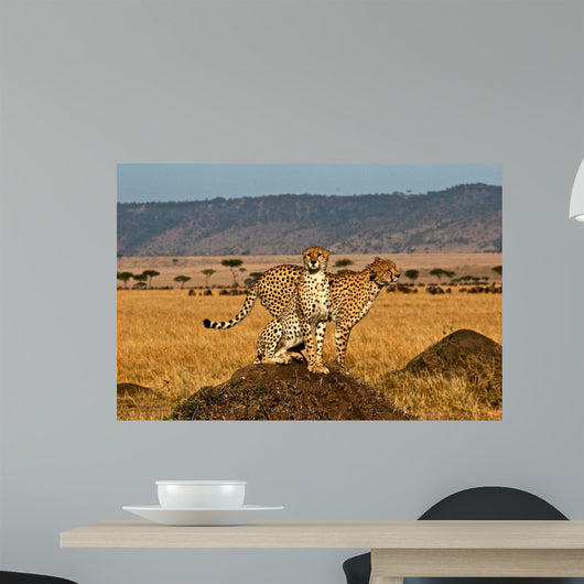 Cheetah brother Wall Decal