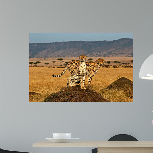 Cheetah brother Wall Decal