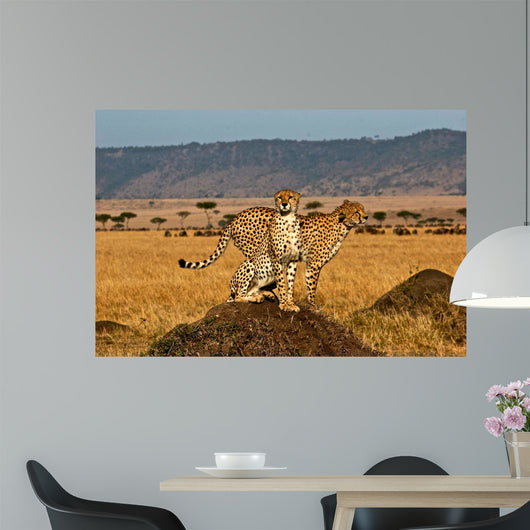 Cheetah brother Wall Decal
