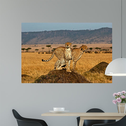 Cheetah brother Wall Decal